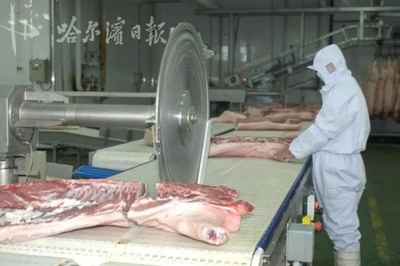 多部门联动助力，哈大众肉联全面复产，“肉盘子”供应无忧